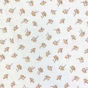 15 - DG Brin de nature