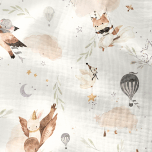 30 - DG Envolée céleste